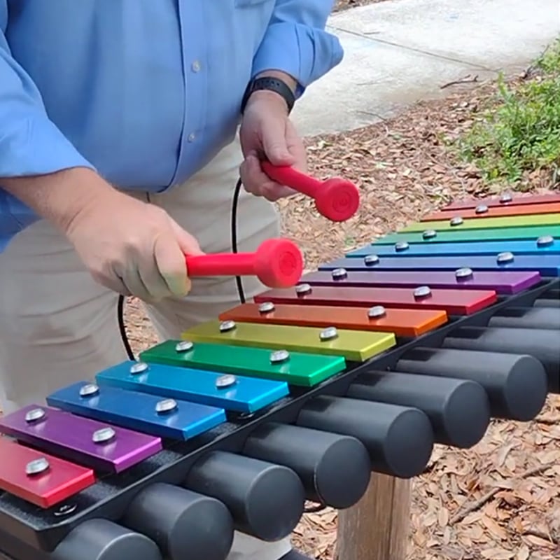Palm Harbor Library's Outdoor Music Garden Fosters Future Musicians of All Ages and Abilities Post-Covid preview 7